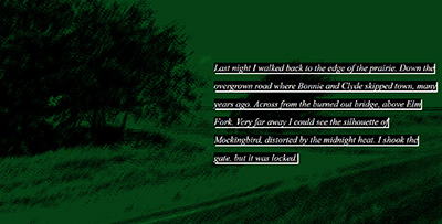 Image of text on an abstracted green background